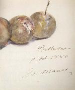 Edouard Manet, Lettre avec trois prunes (mk40)